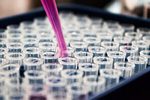 Health Canada Accepts GMP Labs Bid for a Foreign Site GMP Reference Number